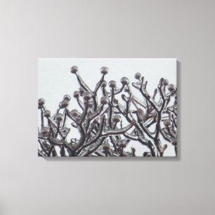 Toile En Attente Du Printemps — Arbre À Dogwood Dans La 