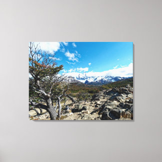 Toile En direction du Mt Fizroy