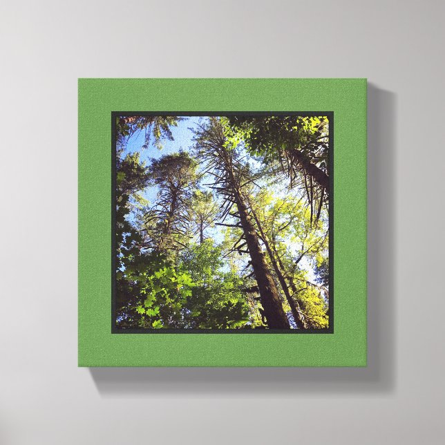 Toile En regardant les arbres (Recto)