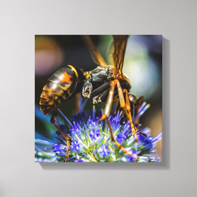 Toile encadrée « Bee Aware » 12" x 12", 1,5" (Recto)