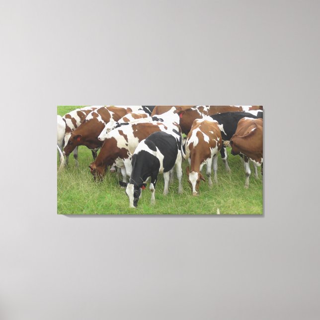 Toile encadrée représentant des vaches laitières b (Recto)