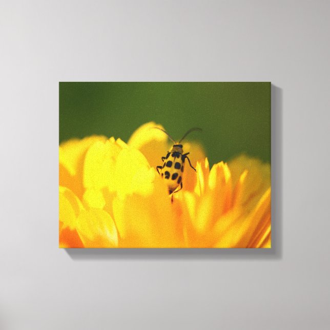 Toile enrobée de fleurs jaunes (Recto)