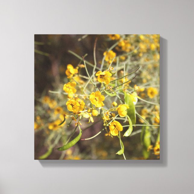 Toile enrobée de Fleurs Jaunes (Recto)