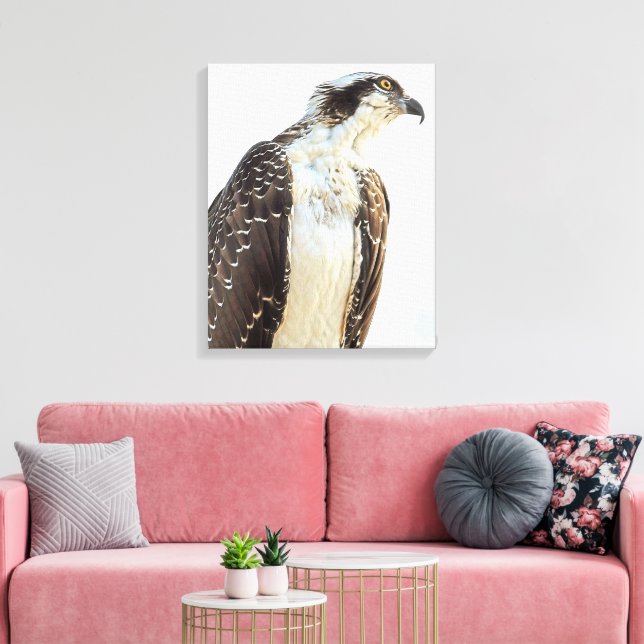 Toile enrobée de profil Osprey (Insitu(Salon))