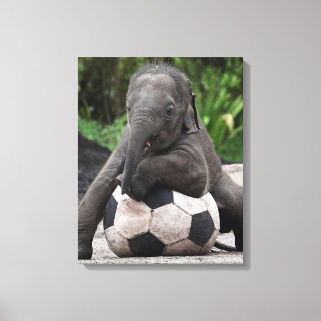Toile enrobée de soccer d'éléphant (Recto)