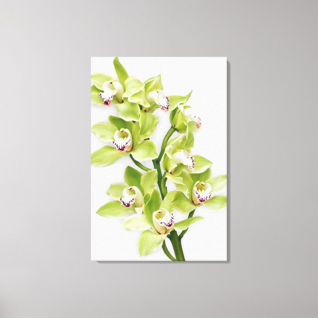 Toile enrobée verte Cymbidium Orchidée Imprimer (Recto)