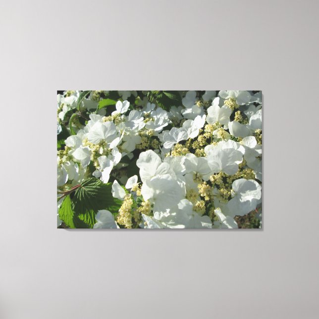 Toile - Enveloppé - Double Viburnum I (Recto)