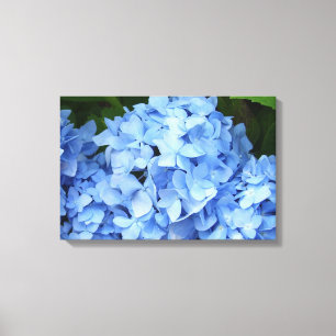Toile - Enveloppé - Hydrangée Bleue