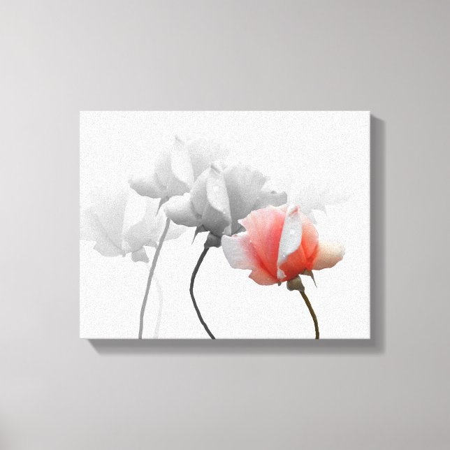 Toile enveloppée avec roses noires et blanches, un (Recto)