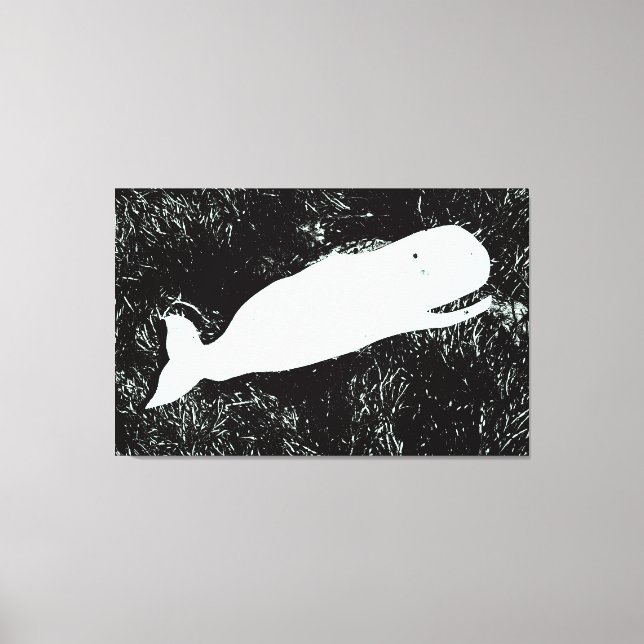 toile enveloppée de baleine blanche qui rit (Recto)