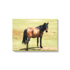 Toile enveloppée de beauté