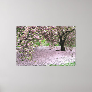toile enveloppée de cerisier fleuri