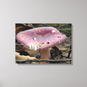 Toile enveloppée de champignons violets