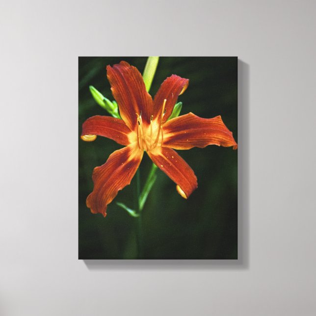 Toile Enveloppée De Flamme De Jardin (Recto)