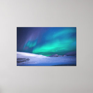 toile enveloppée de lumières du nord