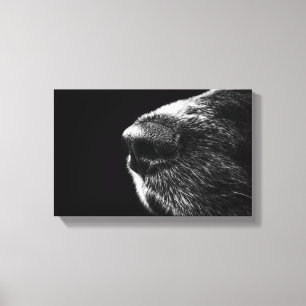 Toile enveloppée de nez de chien
