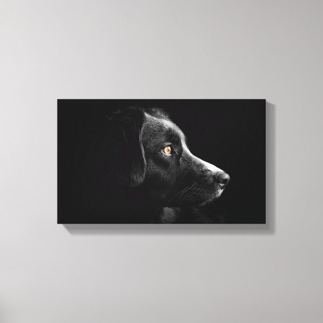 toile enveloppée de récupération de labrador noir (Recto)