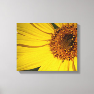 Toile enveloppée de tournesol