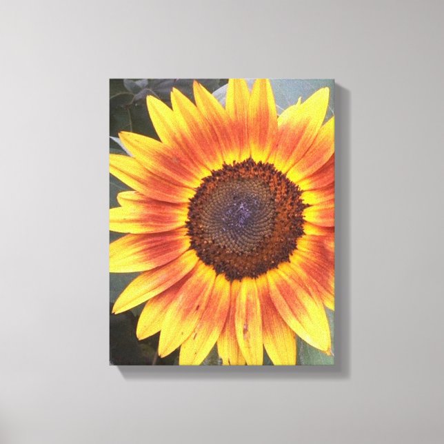 Toile enveloppée de tournesol jaune N orange (Recto)