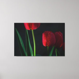 Toile Enveloppée De Tulipes Rouges