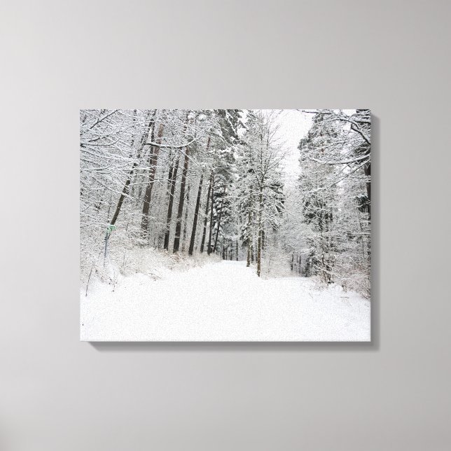 toile enveloppée d'hiver (Recto)