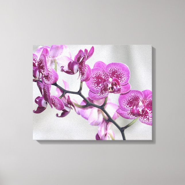 Toile Enveloppée D'Orchidées Roses (Recto)