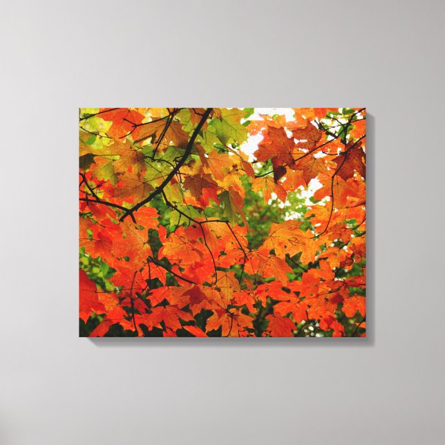 Toile Enveloppée Feuilles Automne (Recto)