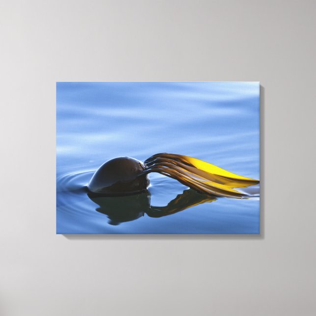 Toile Enveloppée Fronds Dorés (Recto)