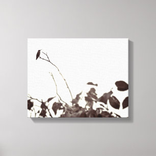 Toile enveloppée par 14x11 étée perché de coli