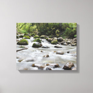 Toile enveloppée par courant de forêt