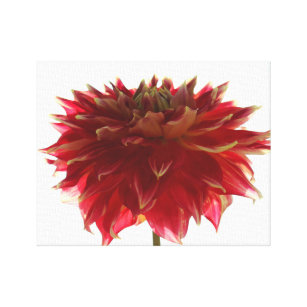 toile enveloppée par peinture numérique de fleur