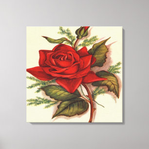 Toile enveloppée par prime de rose rouge (lustre)