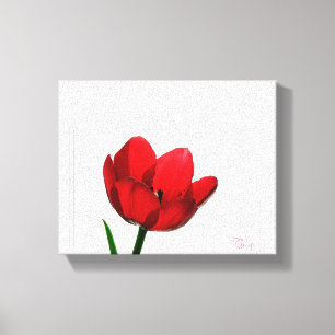 Toile enveloppée par tulipe