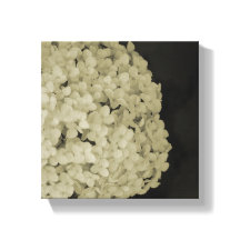 Toile enveloppée photo de fleur imprimer oeuvre