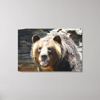 Toile enveloppée pour ours grizzli Imprimer