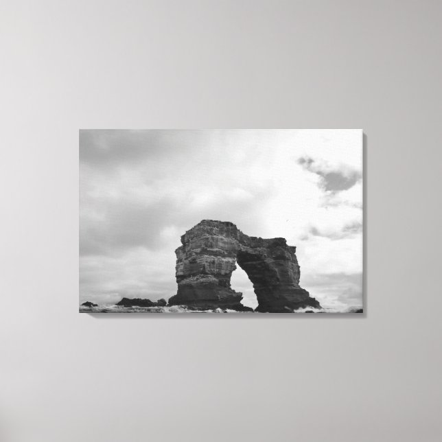 Toile Équateur, îles Galapagos, île Darwin, Vagues (Recto)