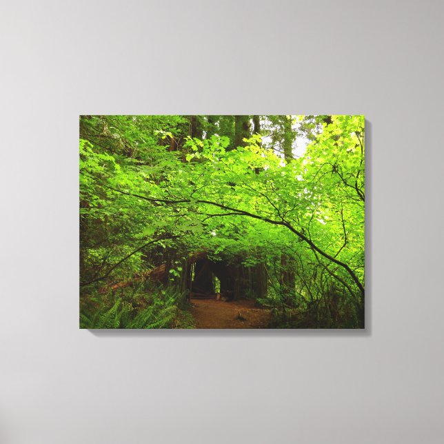 Toile Érables dans la forêt de séquoias (Recto)
