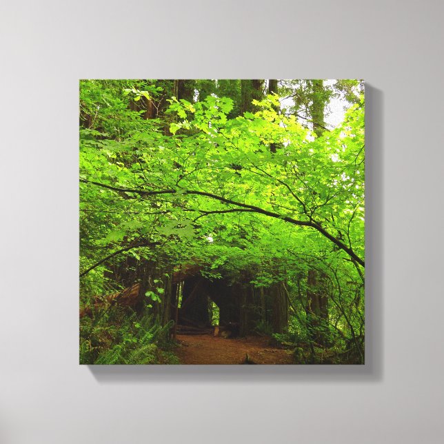 Toile Érables dans la forêt de séquoias (Recto)