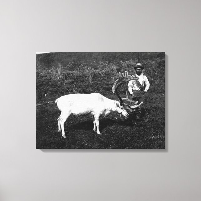 Toile Esquimau de l'Alaska et rennes capturés (Recto)