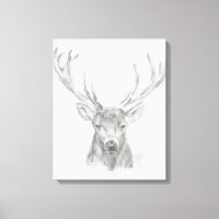 Esquisse d'Elk contemporaine