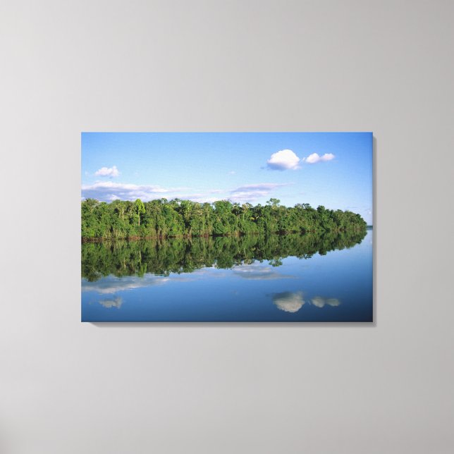 Toile État du Mato Grosso, Amazonie, Brésil. Forêt (Recto)