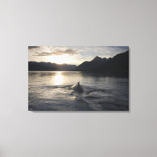 Toile États-Unis, Alaska, Glacier Bay National Park,