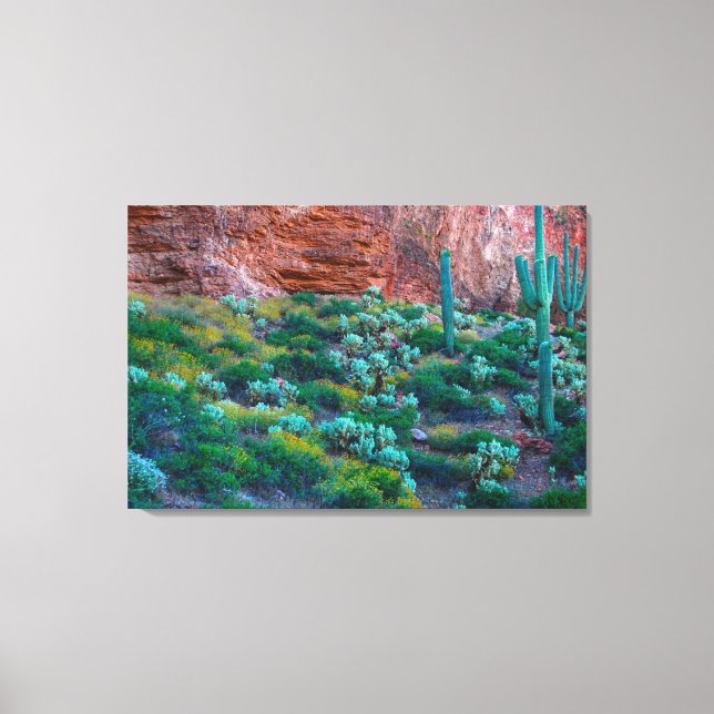 Toile États-Unis, Arizona. Flore du désert (Recto)