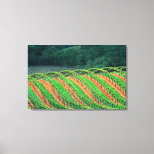 Toile États-Unis, Californie, comté de Mendocino, un tre