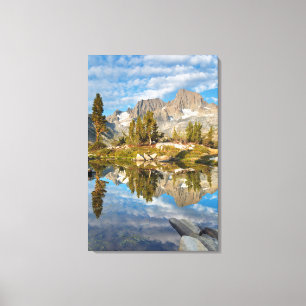 Toile États-Unis, Californie, Forêt nationale d'Inyo 13