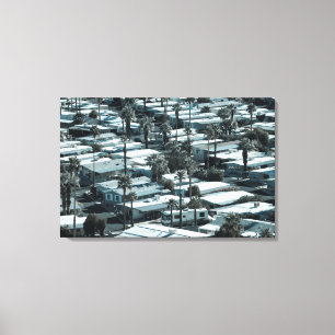 Toile États-Unis, Californie, Palm Springs. Parc de cara