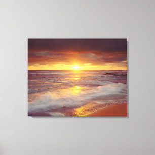 Toile États-Unis, Californie, San Diego. Plage de Sunset