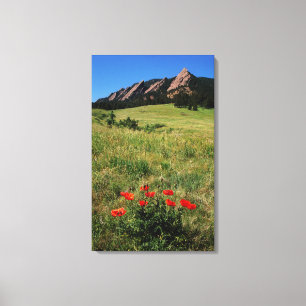 Toile États-Unis, Colorado, Boulder. Flatirons et pavots