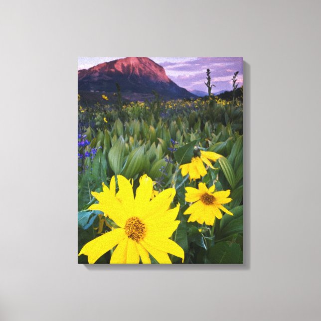 Toile États-Unis, Colorado, Mt. Crested Butte (Recto)