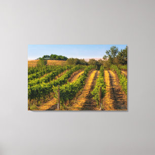 Toile États-Unis, Est de Washington, Vignobles Walla Wal